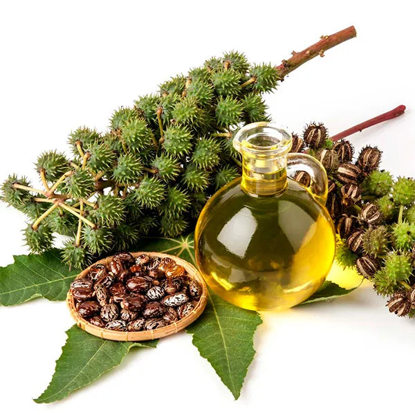 BIOVENE - Huile de ricin pure