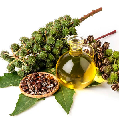 BIOVENE - Huile de ricin pure